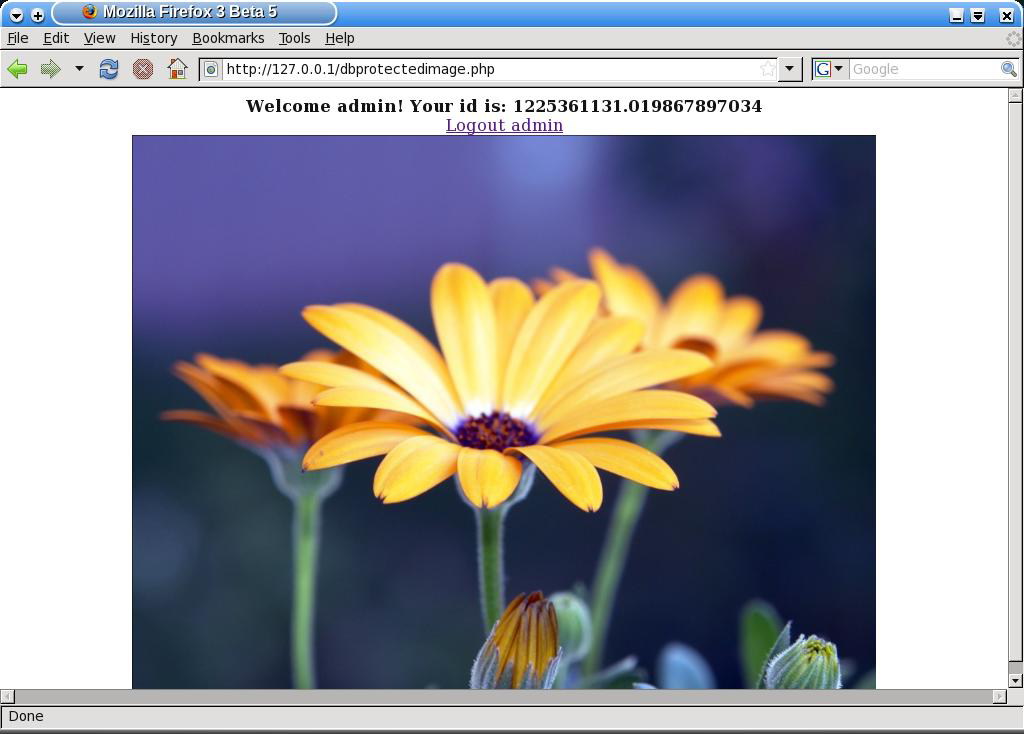 Защищенное содержимое страницы (dbprotectedimage.php) в случае действительной сессии