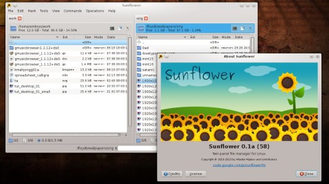 Sunflower