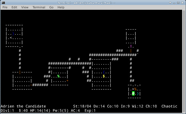 NetHack