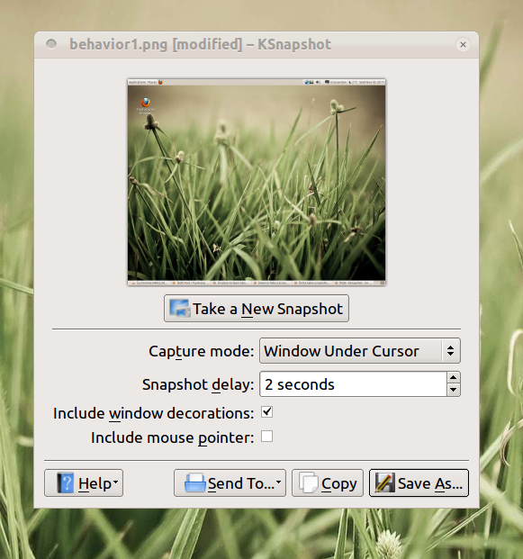 KSnapshot