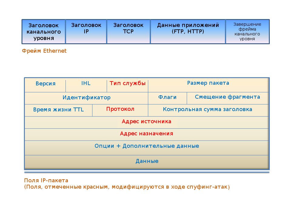 Структура Ethernet-фрейма и IP-пакета