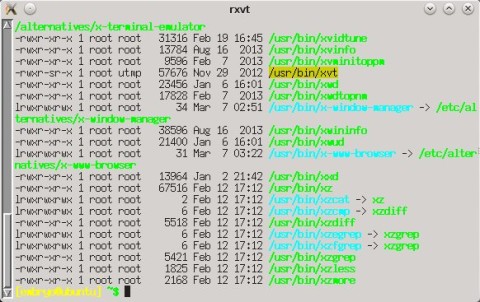 rxvt