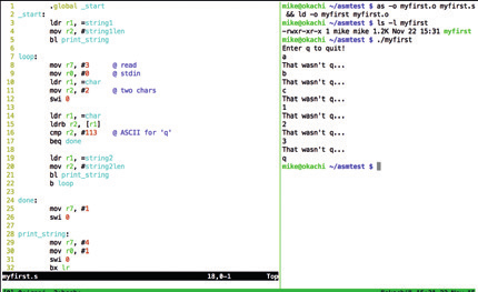 Vim (слева) является отличным текстовым редактором для написания кода на языке ассемблера.