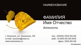 Визитки
